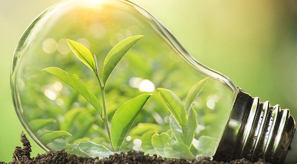 Grow Lights Guide BESTVALED