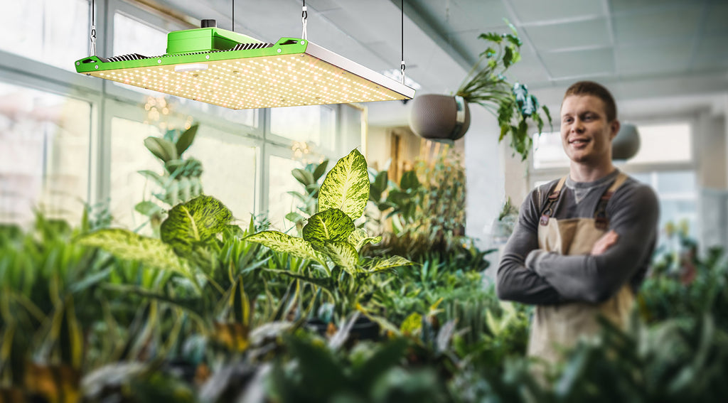 Grow Lights Guide BESTVALED