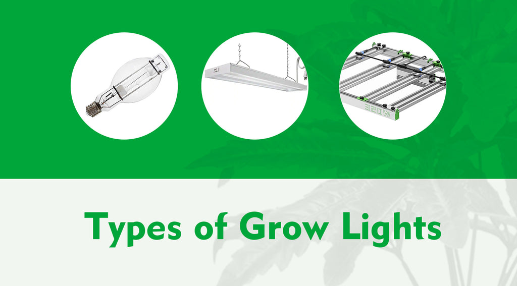 Grow Lights Guide BESTVALED