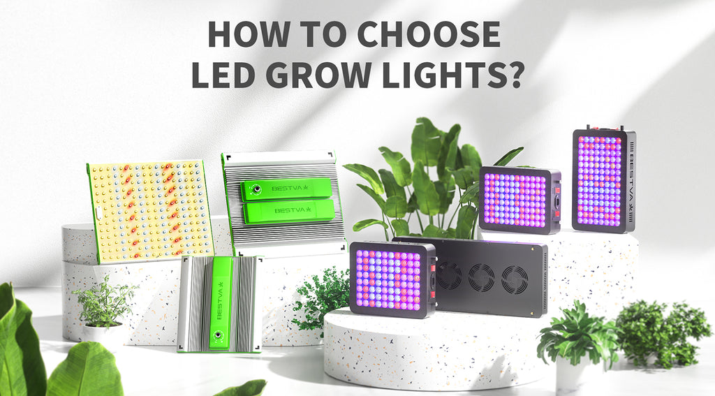 How To Choose LED Grow Lights – BESTVALED