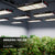 BESTVA Full Spectrum DC Series LED Grow Light  for Greenhouse Hydroponic Indoor Plants Veg and Flower