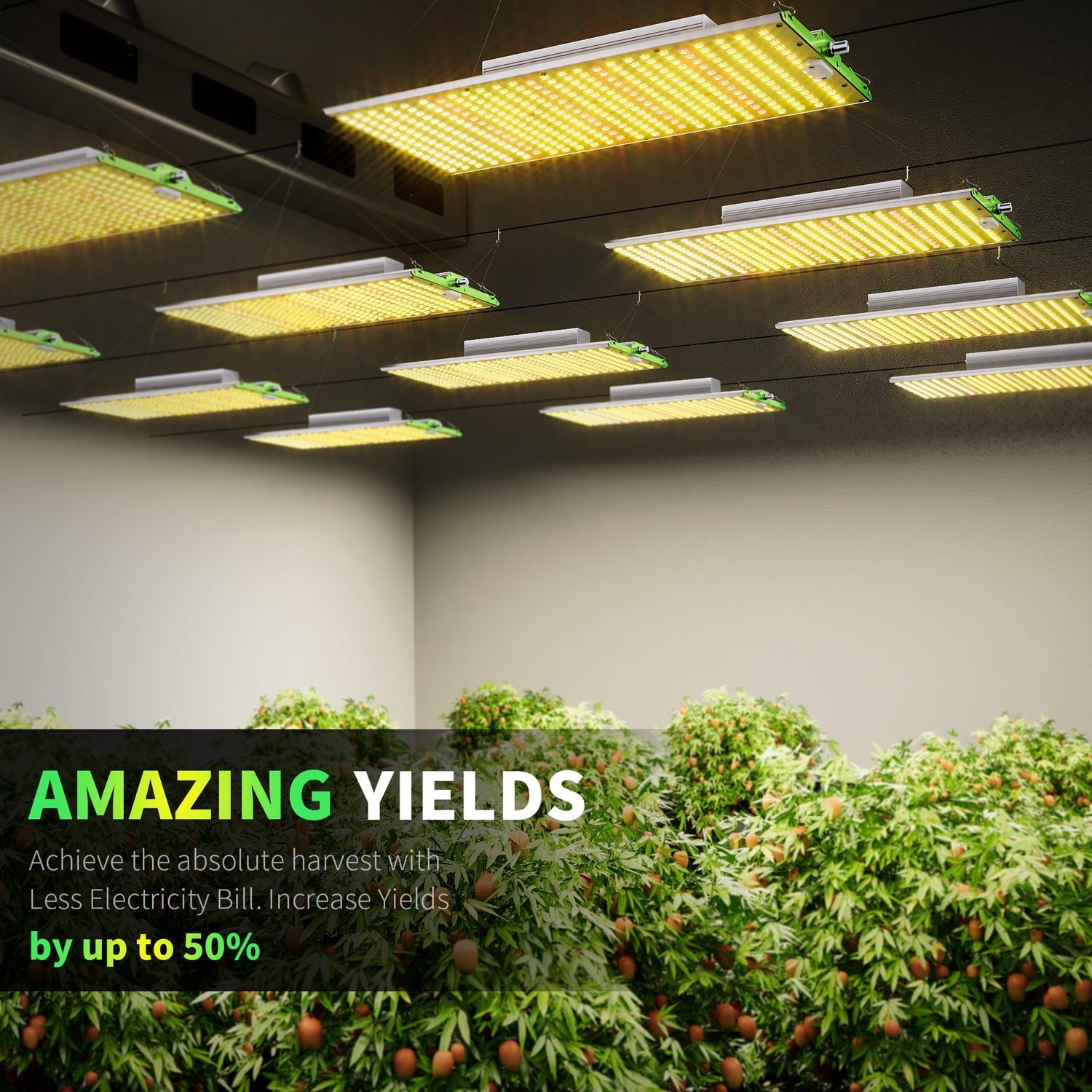 BESTVA Dimmable BP Series LED Grow Light with Samsung Diodes Full Spectrum Grow Lights for Hydroponic Indoor Plants Seedling Veg and Bloom
